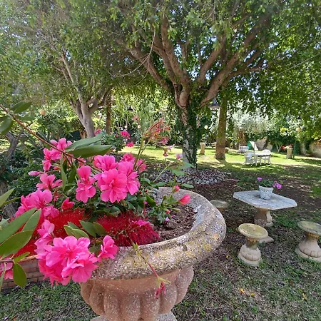 La Casa Nel Parco